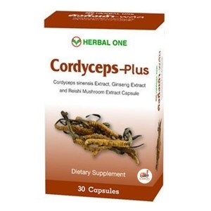 อ้วยอัน CORDYCEPS-PLUS 30S ตังถั่งเฉ้า-พลัส