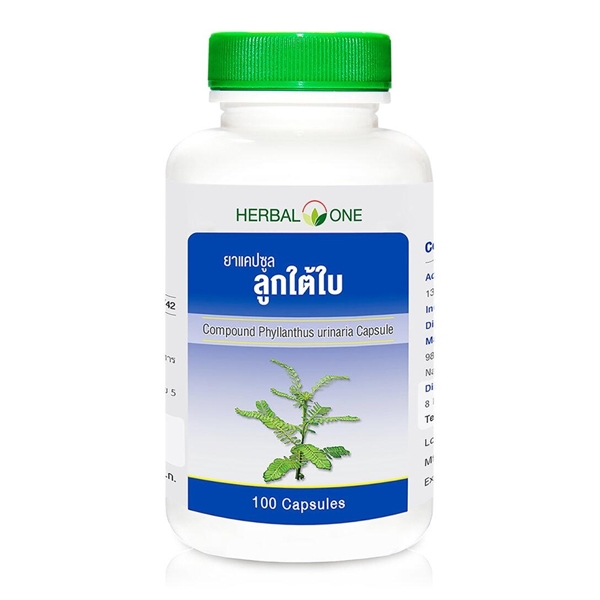 อ้วยอัน ลูกใต้ใบ 100S