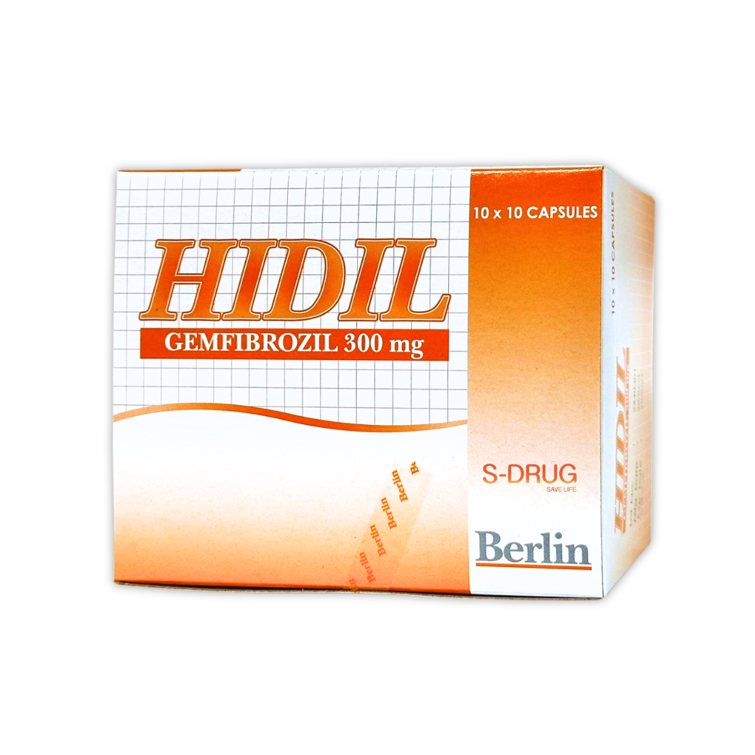 HIDIL 300MG 10x10S BERLIN